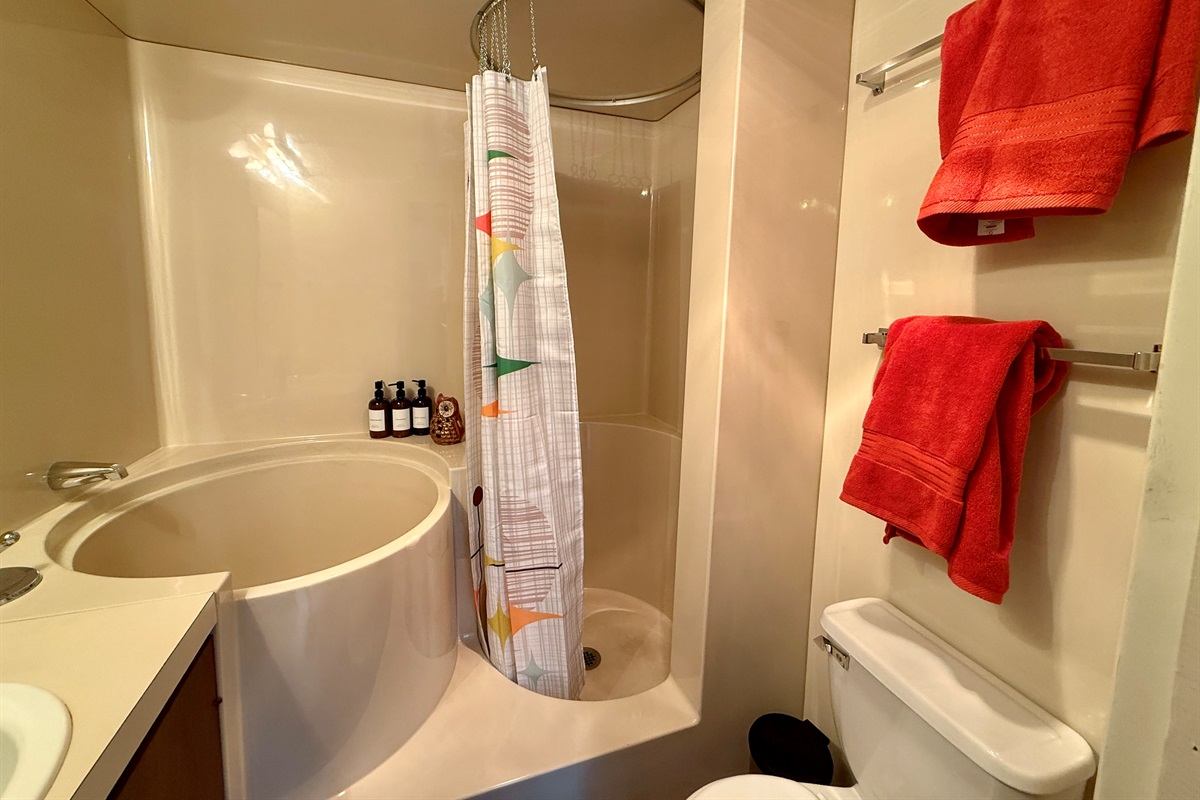 Japanese soaking tub, shower, full bathroom 2, attached to bedroom 2