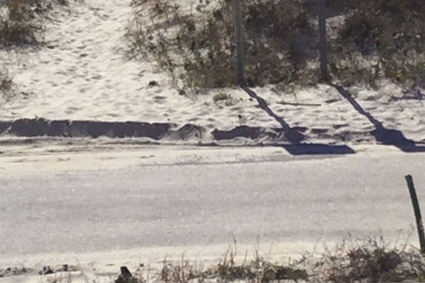Beach Access is Just a Few Steps Away