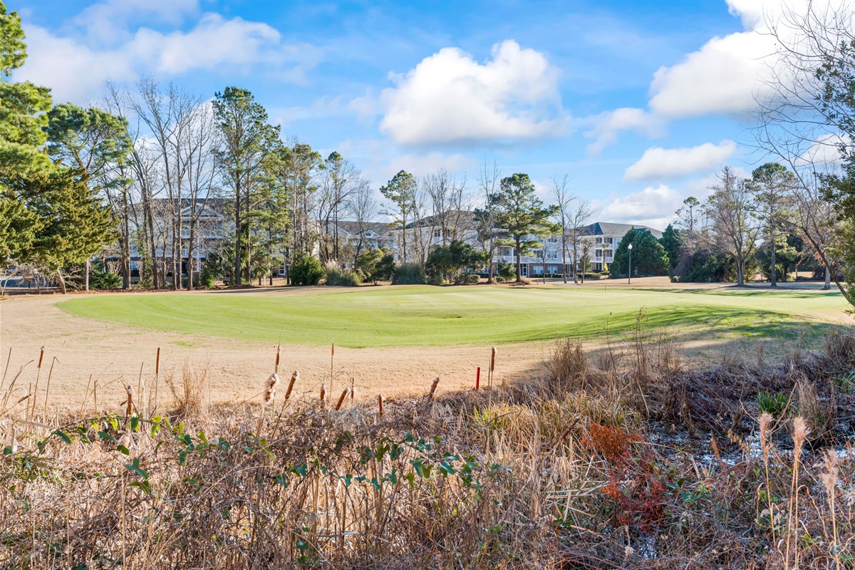 Your direct view of the green of the 13th hole on the Greg Norman, an award winning course