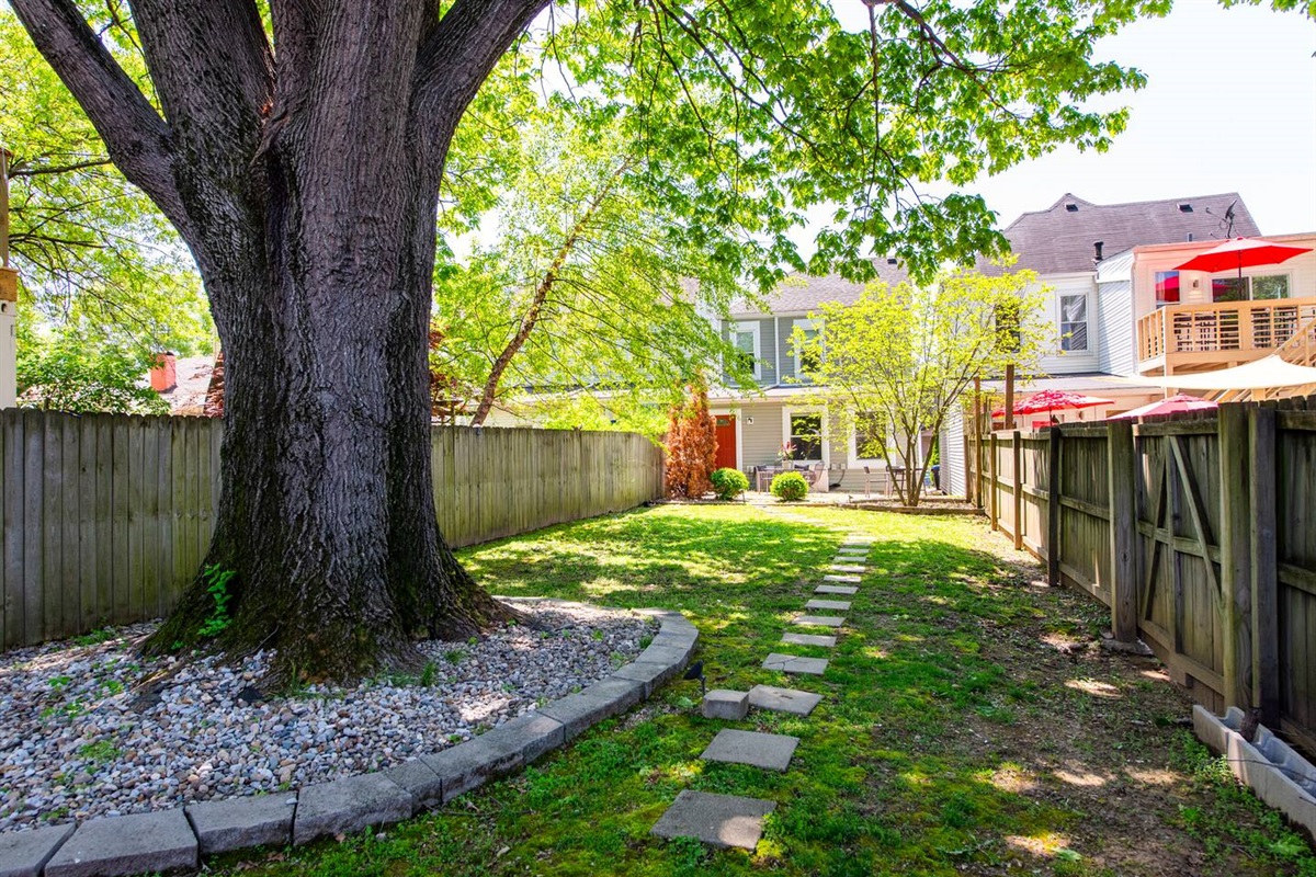 Backyard
