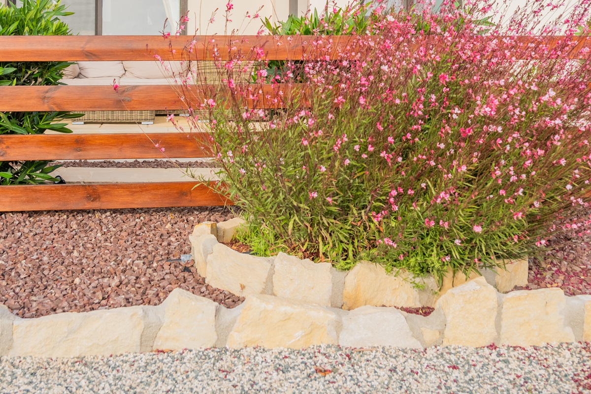 Garden with oleander and gaura wandflowers in bloom.