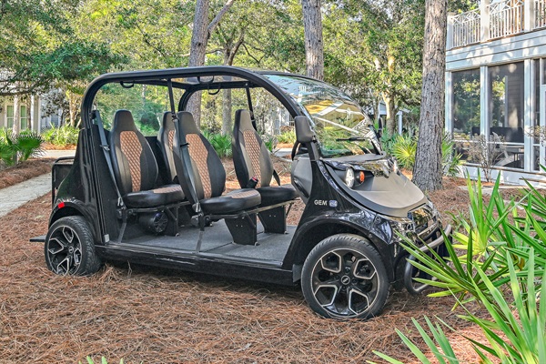 6 Passenger GEM Cart