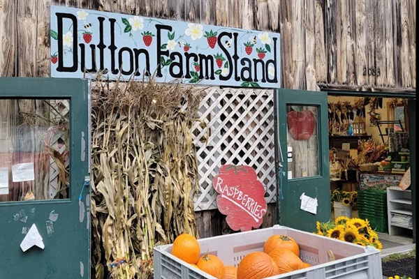 Start your visit by stopping at Dutton Farm Stand on your way in to town- locally owned store selling food from their own prolific farm. Apples, pumpkins, banana bread, local VT cheese, etc