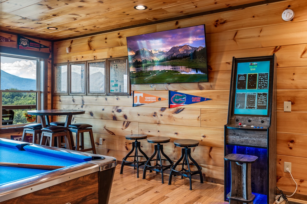 Arcade game, TV, pool