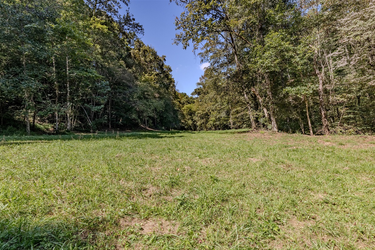 Find the peace of the woods. The dense tree line provides a stunning, natural boundary for our glamping village, ensuring your stay is quiet, private, and immersed in tranquility.