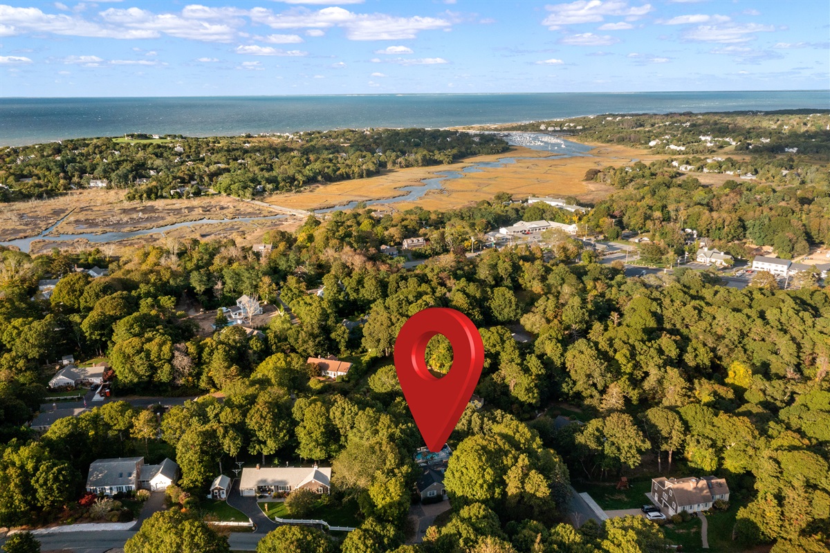 Aerial view of the neighborhood
