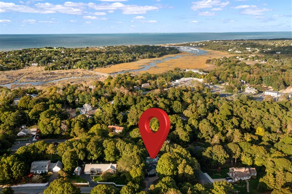 Aerial view of the neighborhood