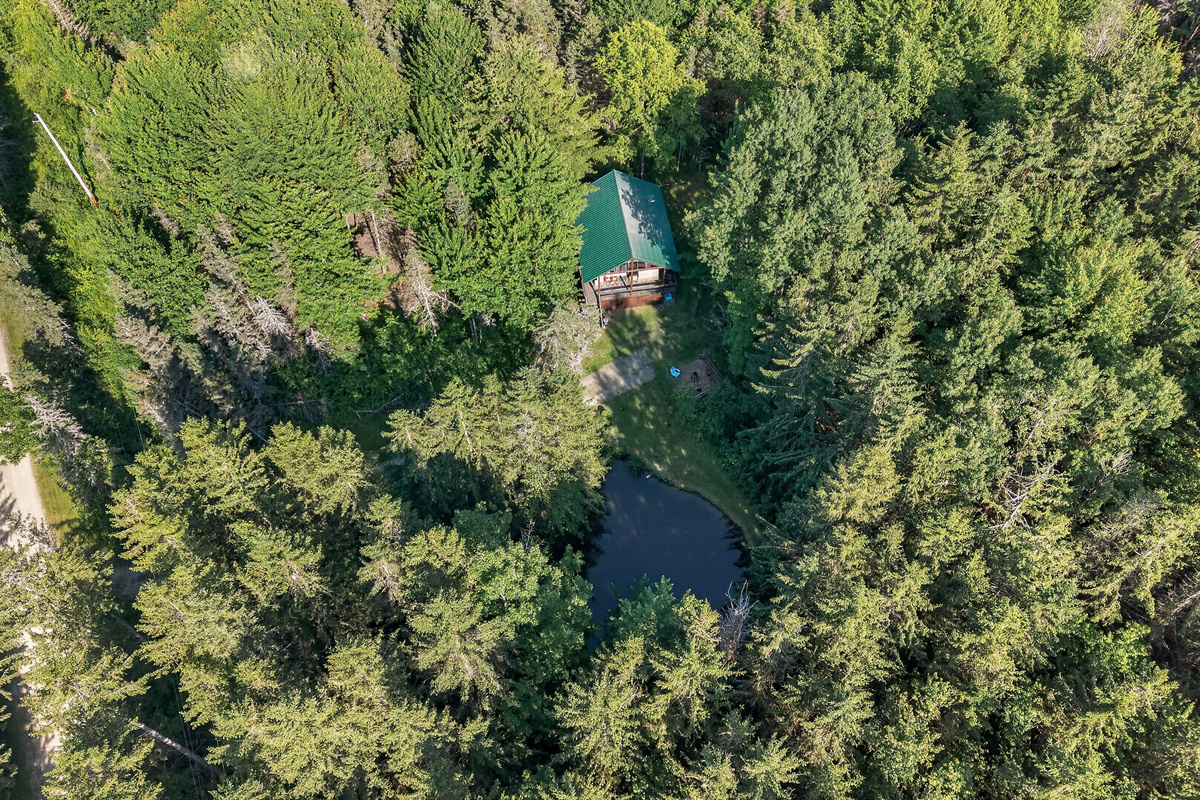 Aerial view of surrounding trees and water