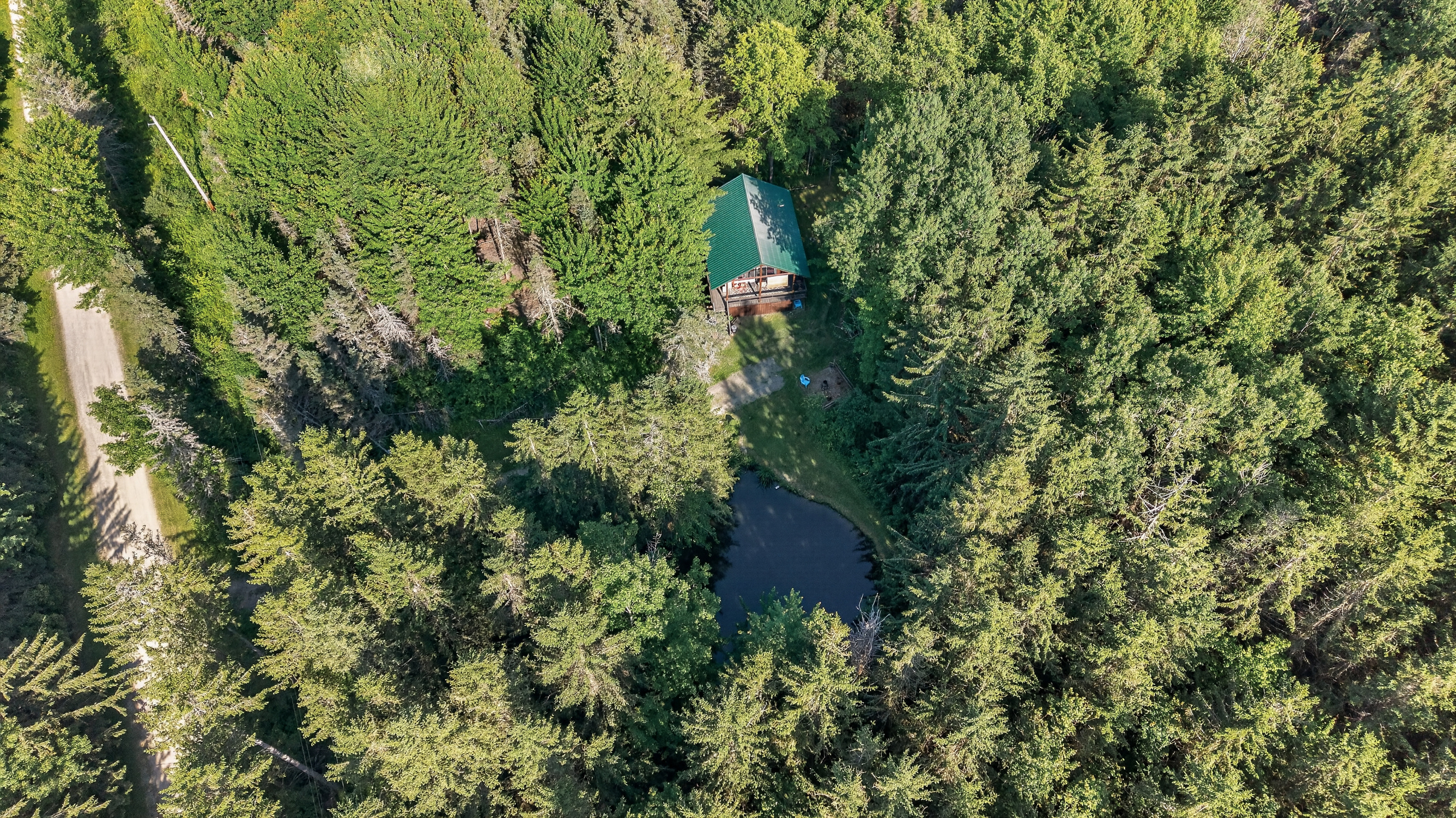 Aerial view of surrounding trees and water