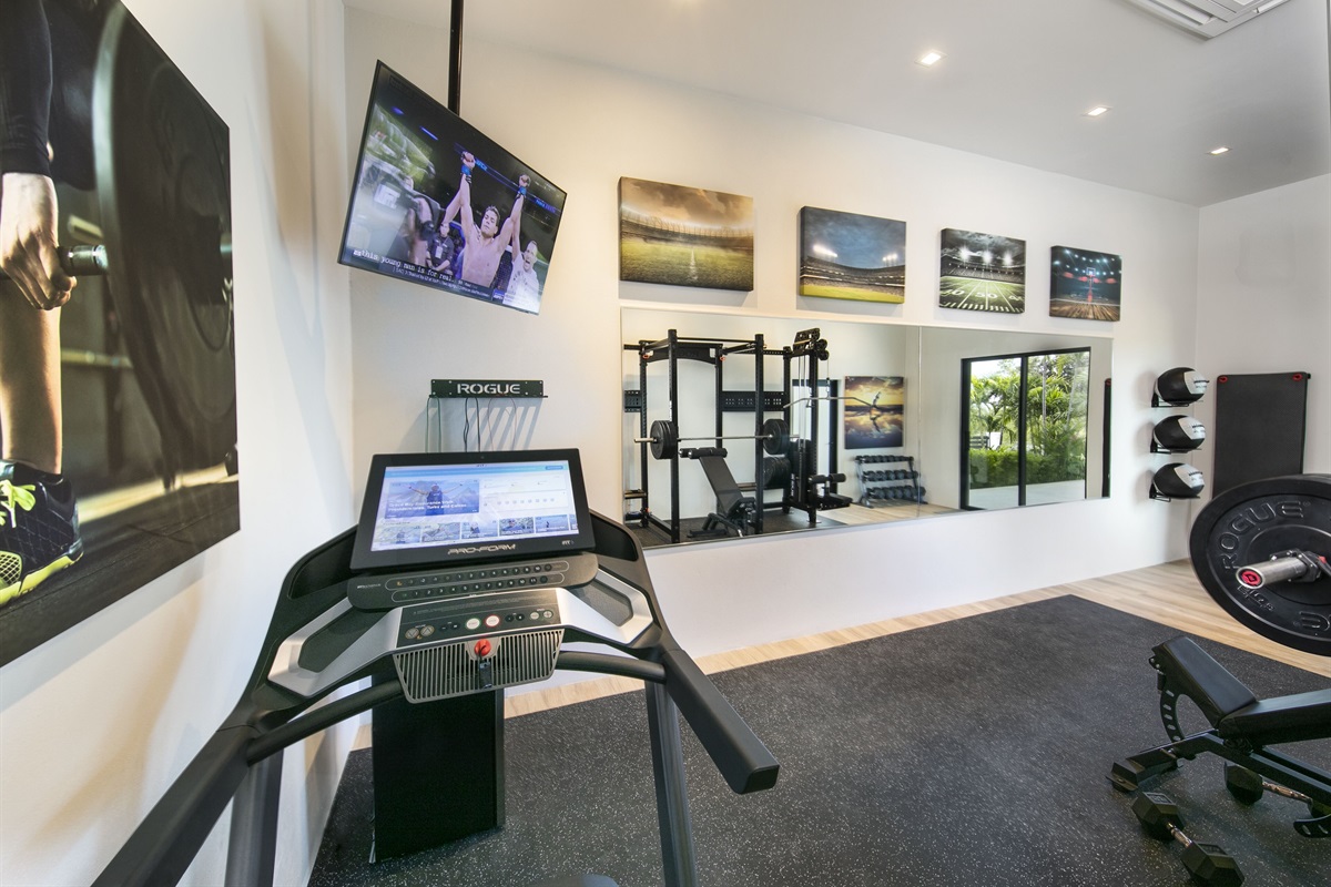 Gym has treadmill, tv, full length mirror and matted floors 