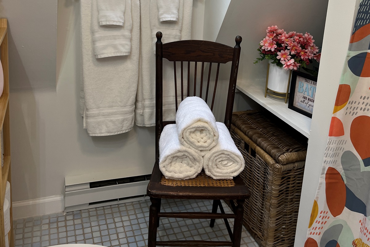 1st floor bath with tub/shower
