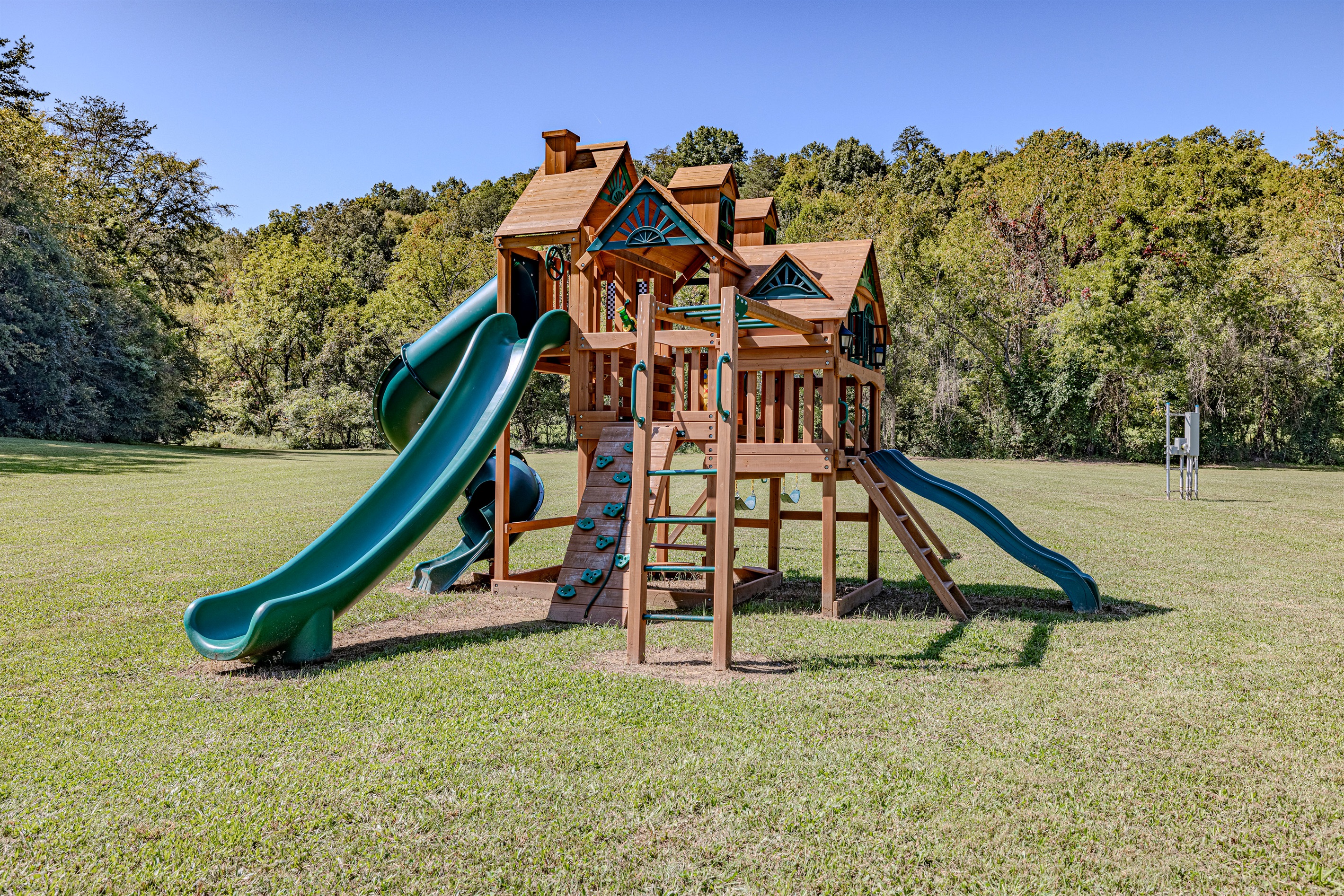 Libra is steps away from the playset.