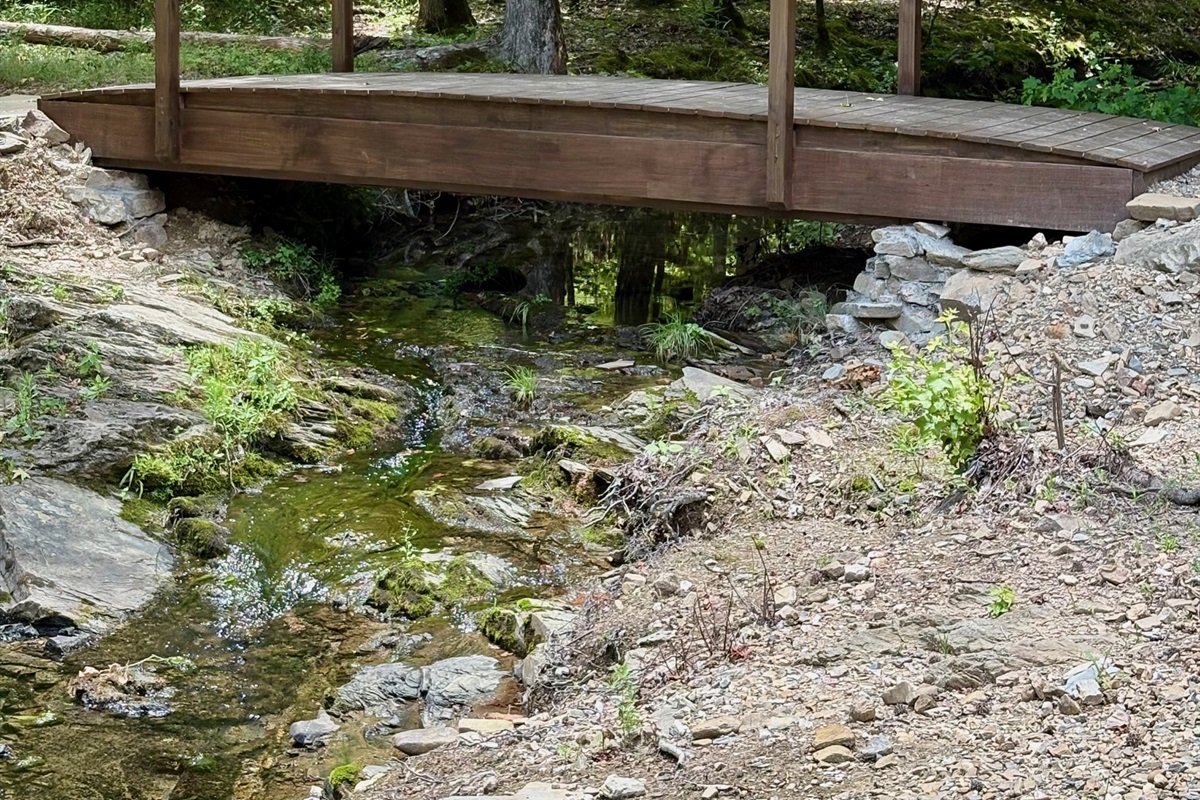 Backyard Bridge over Creek