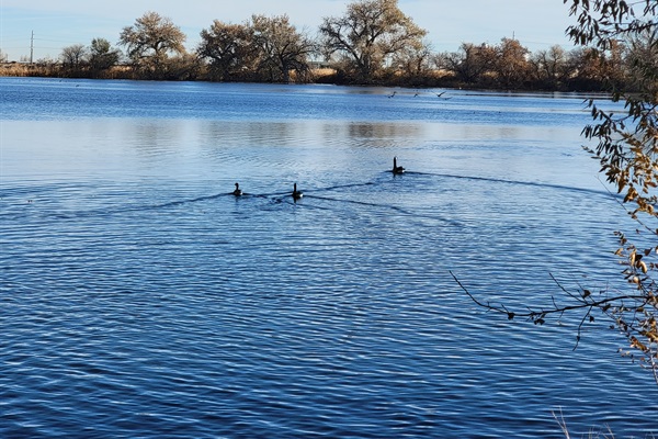 40-acre Clark lake reservoir is right our the backdoor. It is a wildlife lover's paradise.