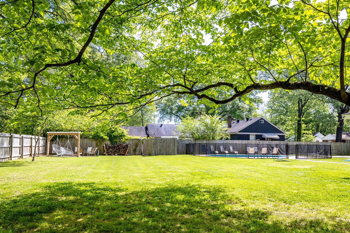 Spacious yard
