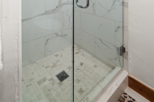 Primary Ensuite - Walk in Shower