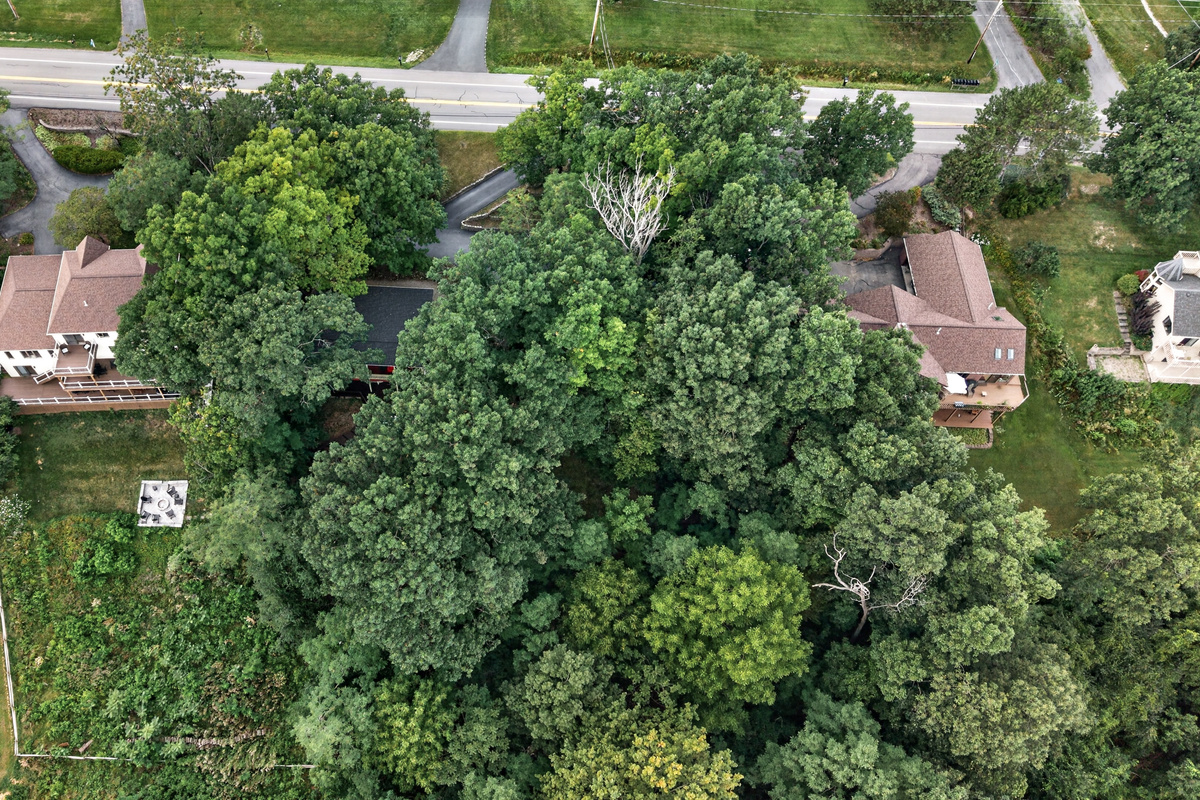 Overhead view of the wooded property