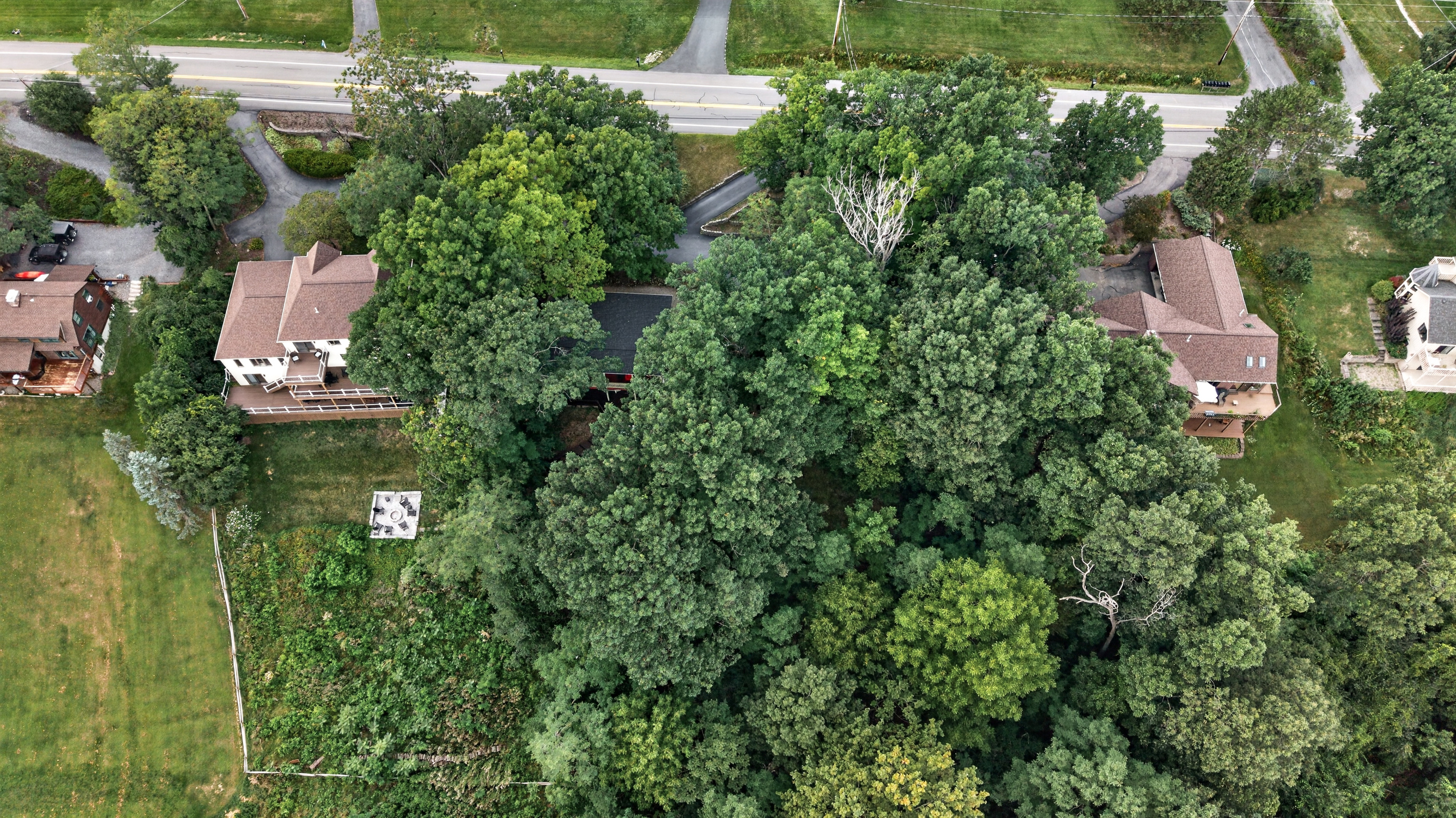 Overhead view of the wooded property