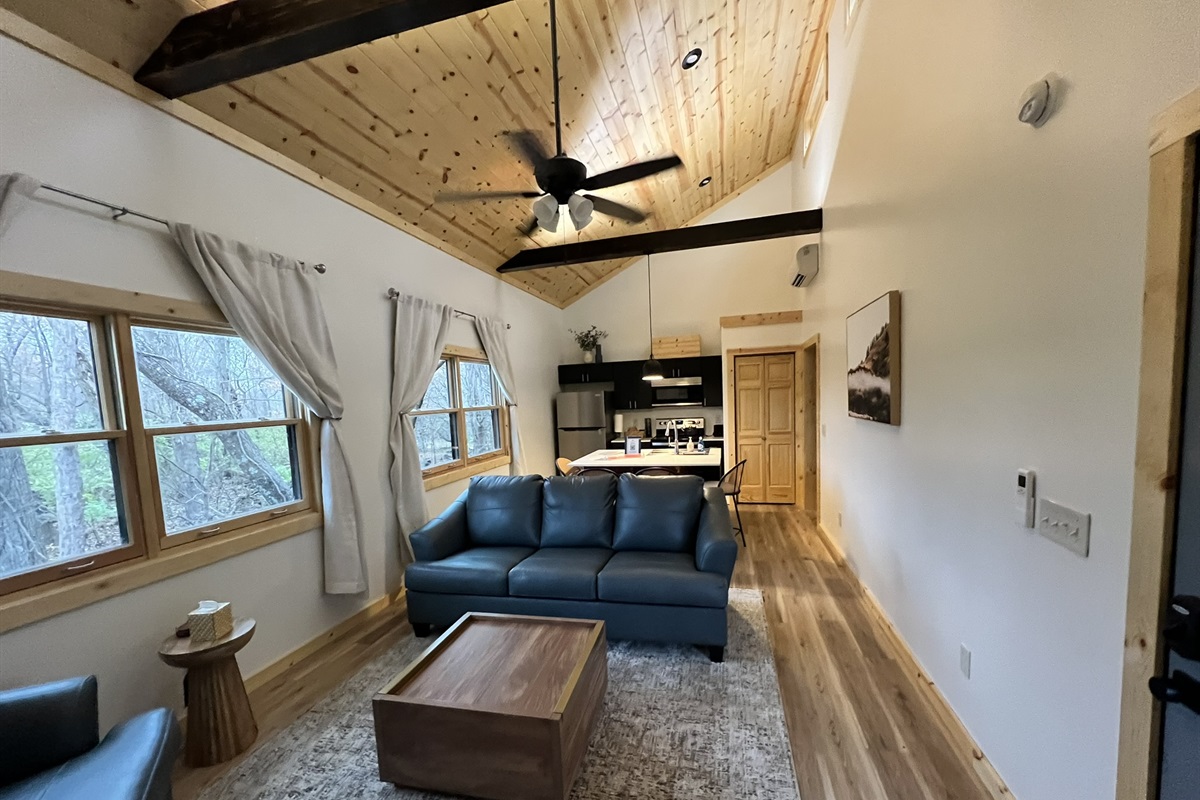 Living Room and Kitchen