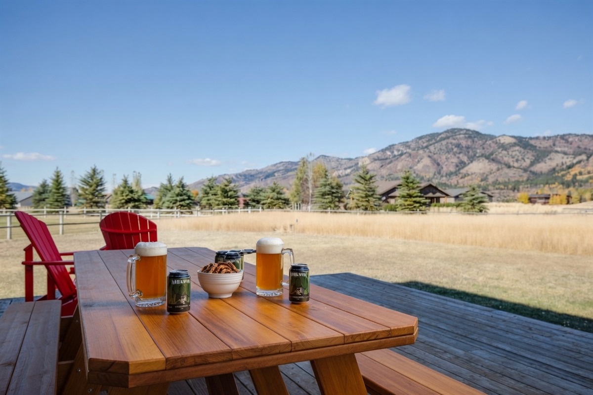 The large deck with Polywood furniture and an outdoor dining table that seats 8-10 is where the trip's best stories get told - usually around the second round of the the featured, local, microbrew.  Thanks Melvin Brewing!