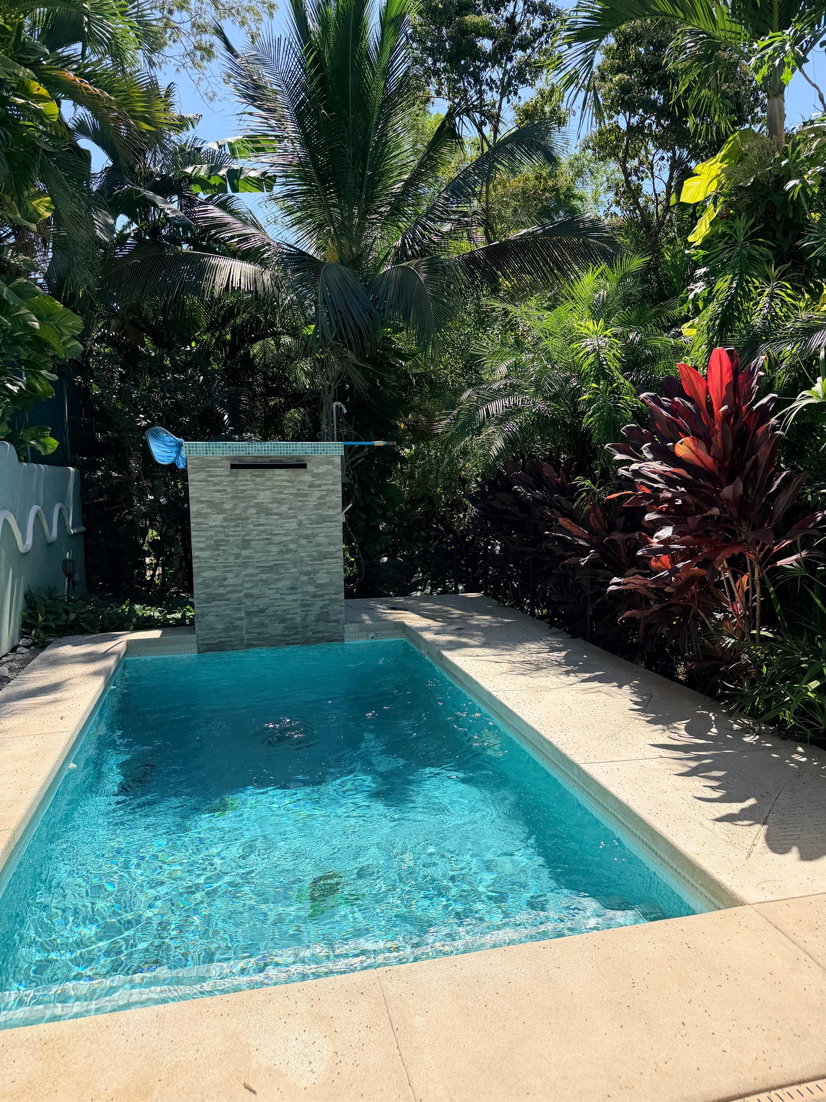 Kate P., Jan 11, 2026