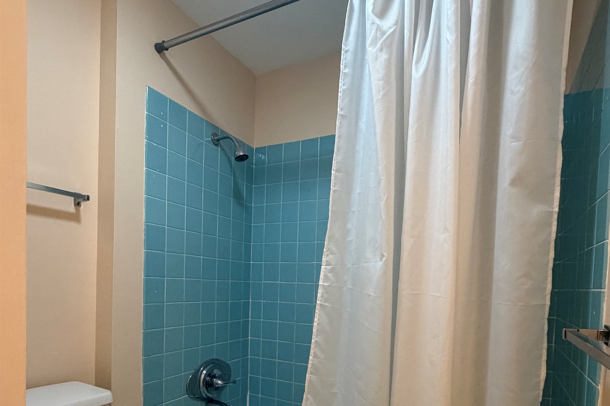 2nd floor bath with hall access and ensuite to Queen #1