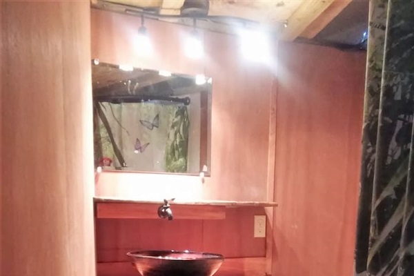Bathroom with compost toilet, vessel sink, and HOT rain shower. 