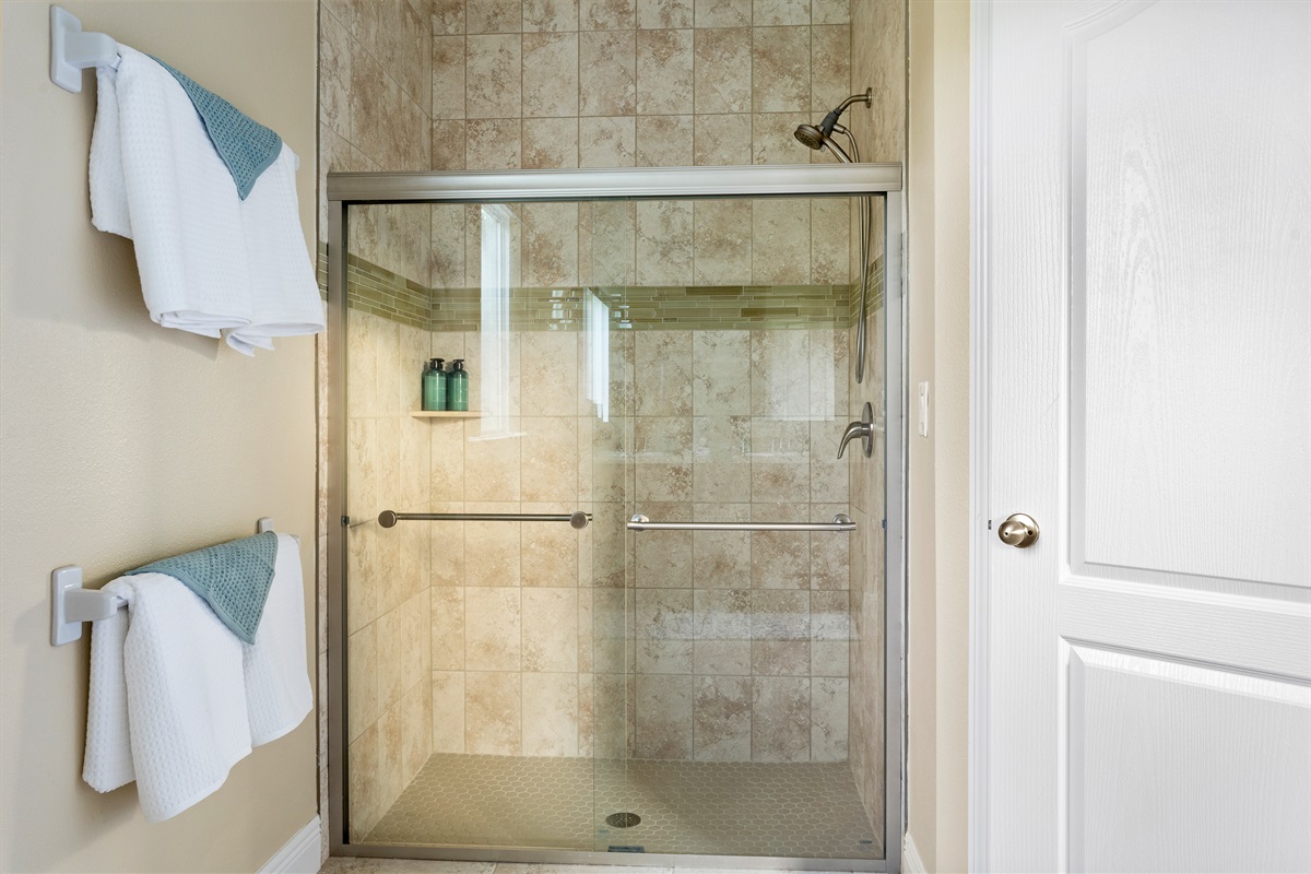 Master ensuite shower