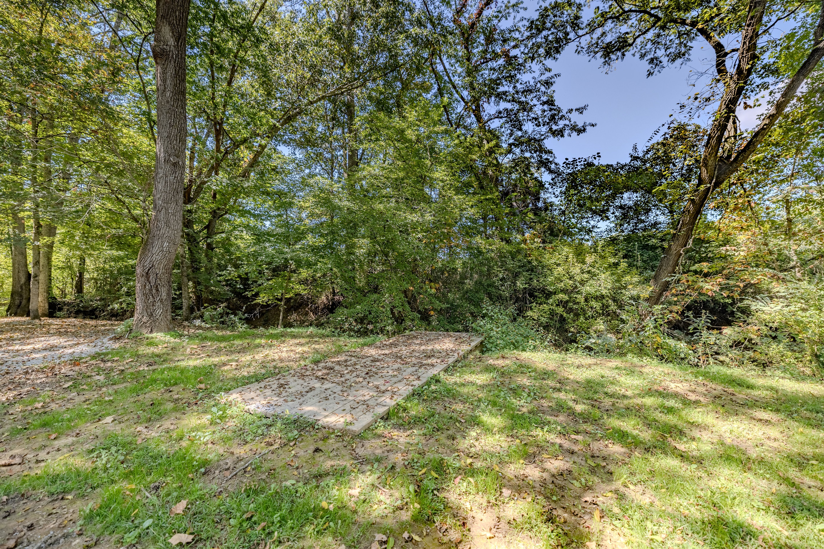 Immerse yourself in the forest. This clearing is a favorite spot for guests looking to truly disconnect and enjoy the tranquility and natural shade provided by the mature trees.