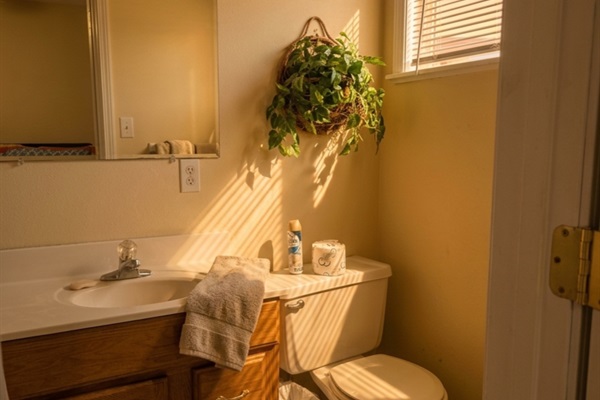 Owners Suite Ensuite Bath