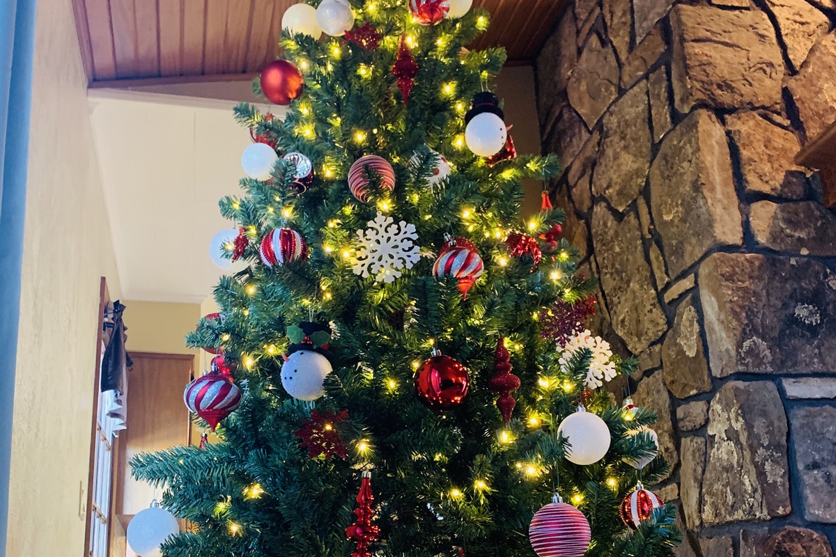 We decorate for Christmas!