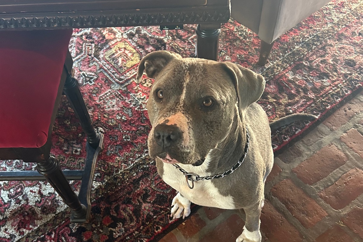 Guest Billie Girl asking Mom to play something on the Baby Grand.