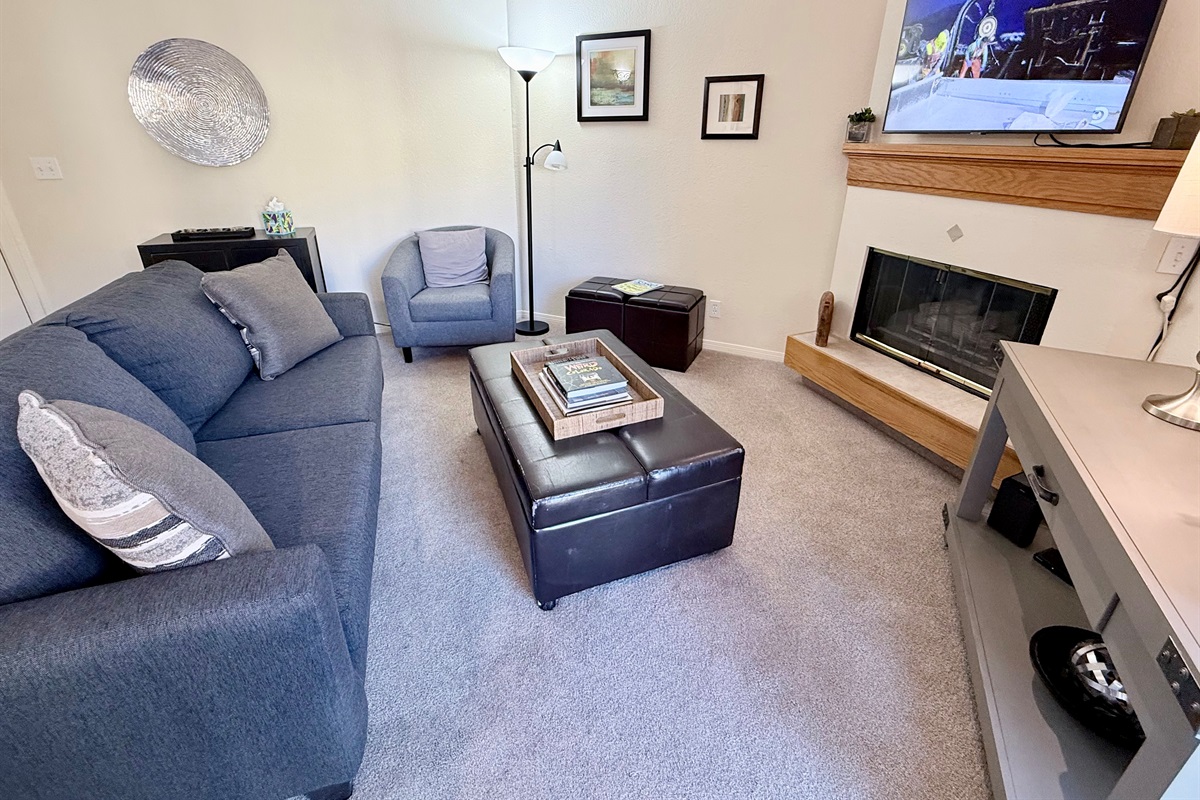 Living Room with bonus twin pull out bed