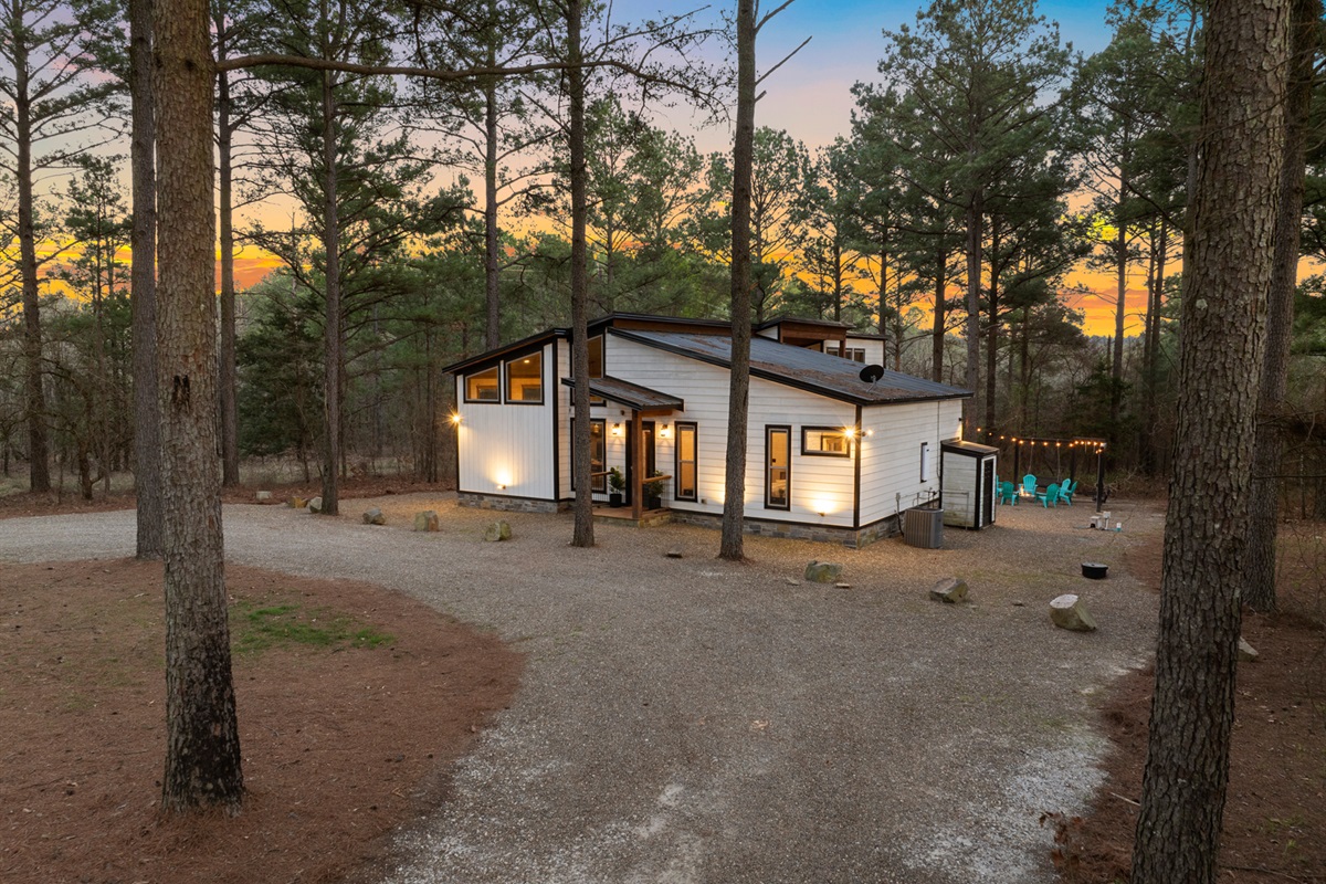 Golden hour through the pines, where sunlight, stillness, and nature come together beautifully.