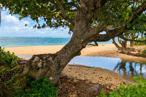 Nearby Beach | Shoreline varies by tides and seasons.
