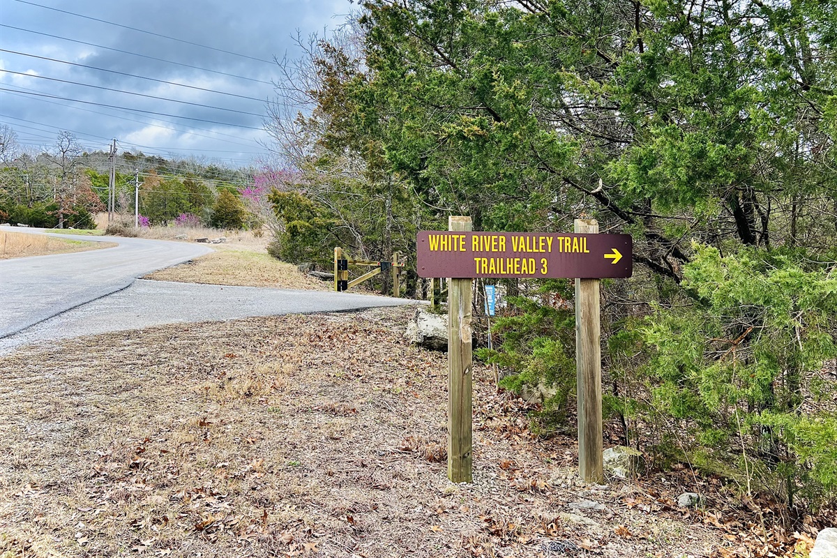 Trail at the beginning of Trophy Run.