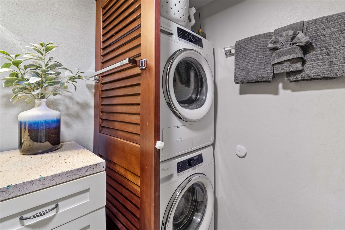 washer, dryer and soaps included