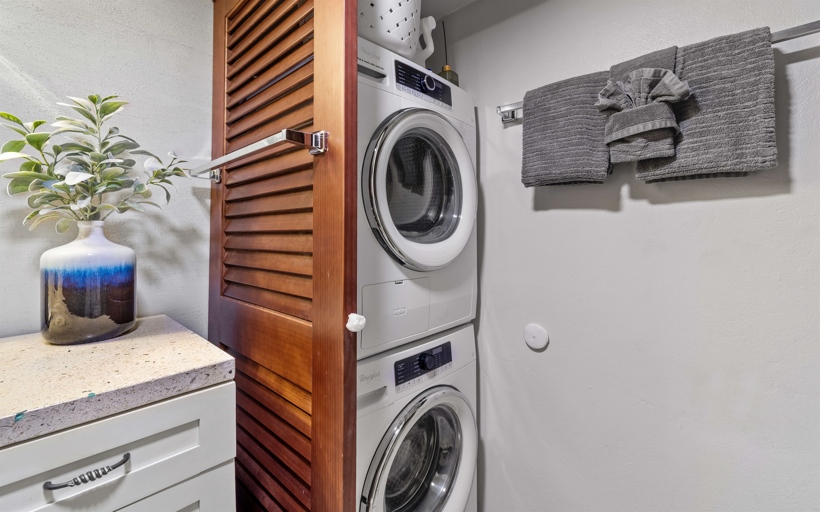 washer, dryer and soaps included