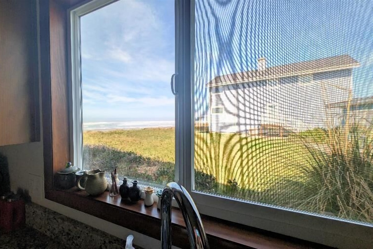 view from kitchen sink