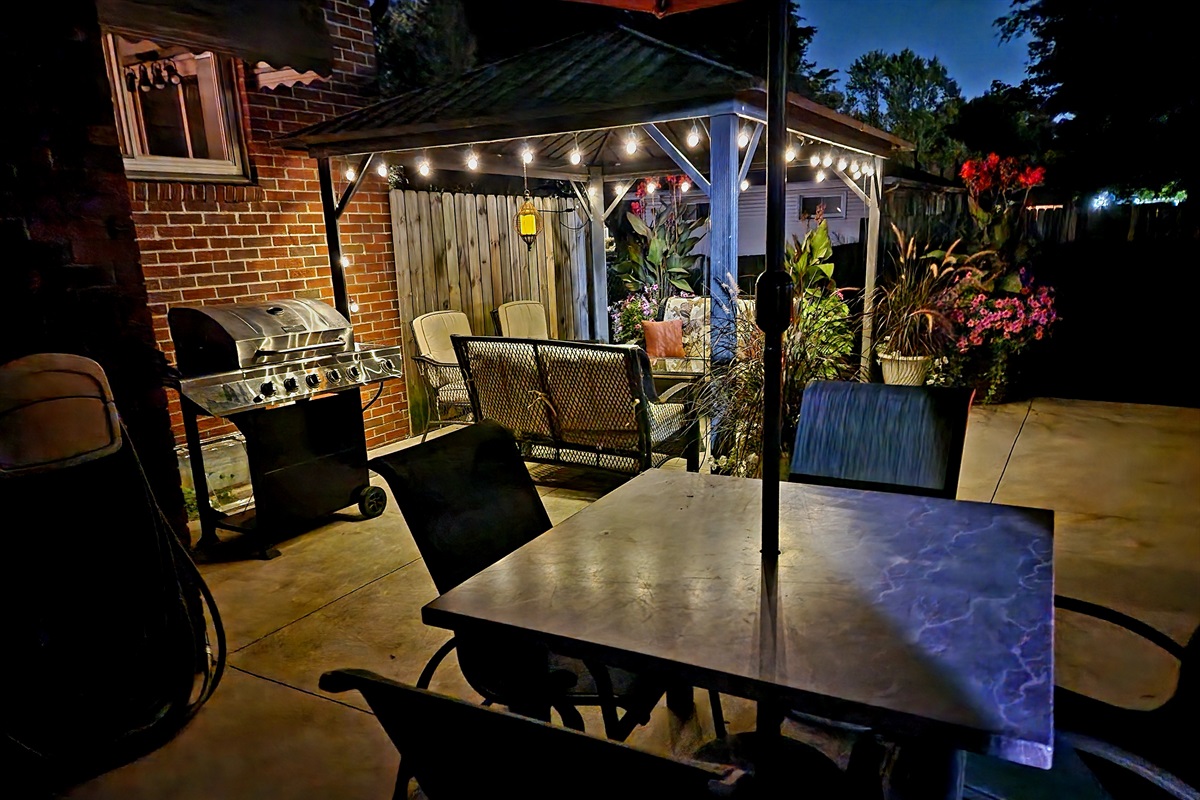 BBQ with included propane