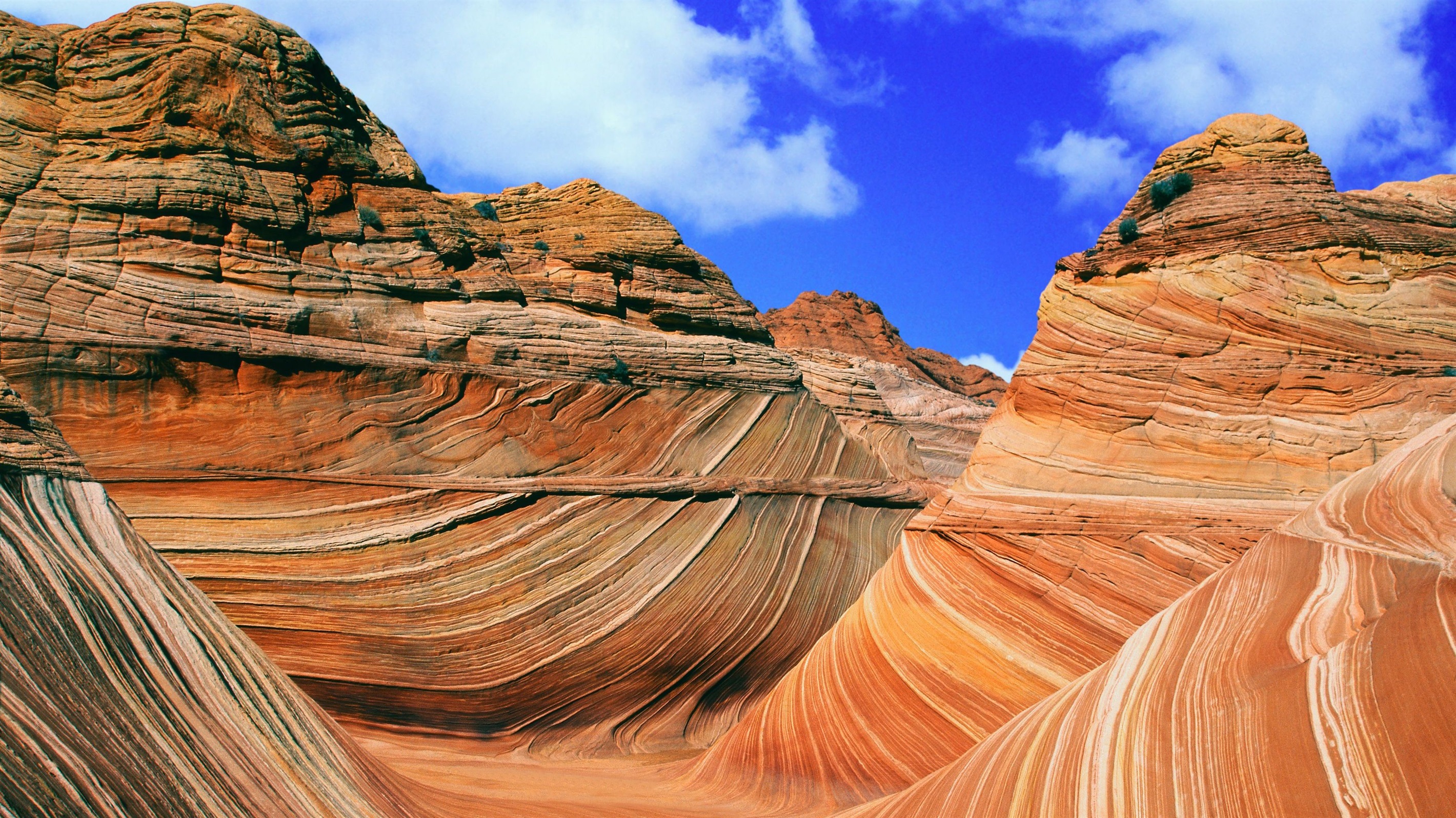 The Wave - an hour's drive away