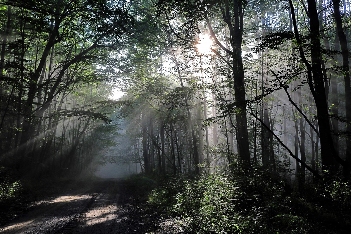 The peaceful a secluded road in