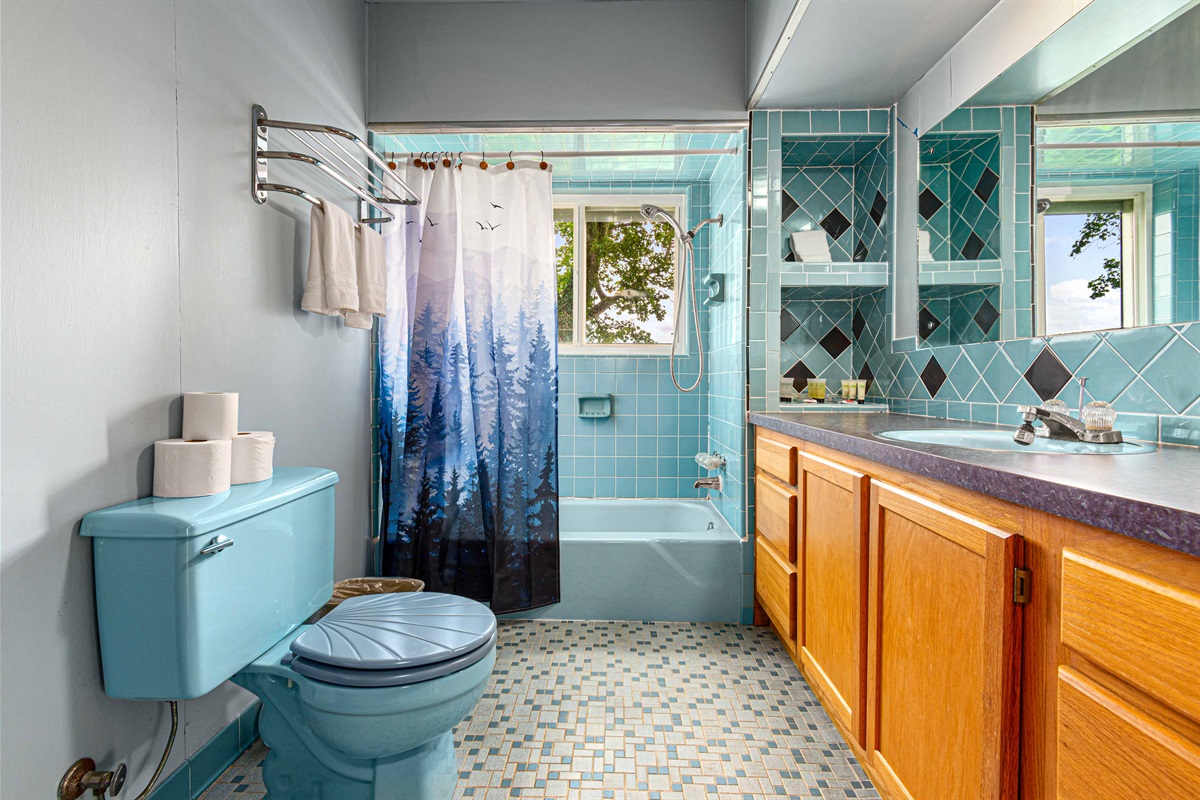 Bathroom: Retro charm in vibrant blue, with a scenic view and modern amenities for your comfort!