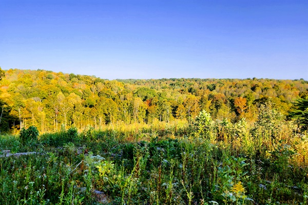 Private 0.7-Mile On-Site Gnome Trail with Wooded Views, Walking Sticks, and Fun Gnomes to Find.