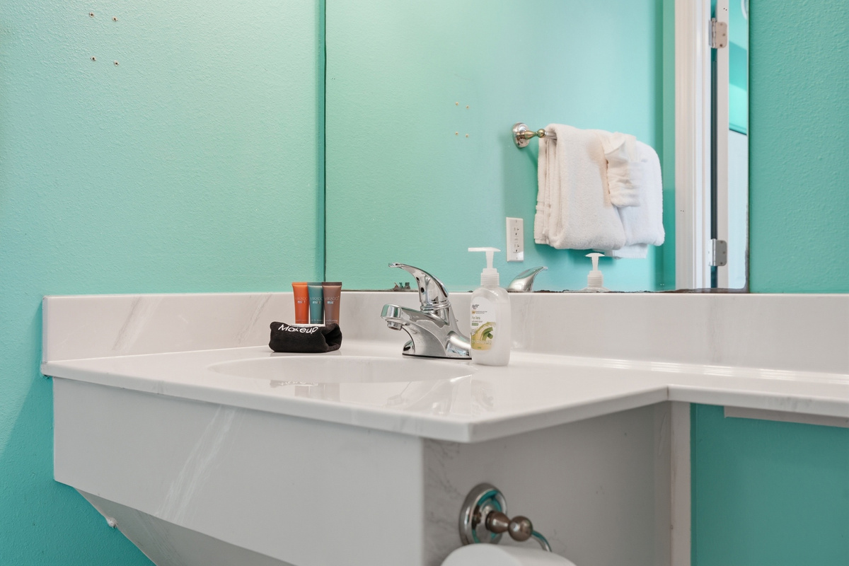 Guest Bath 1