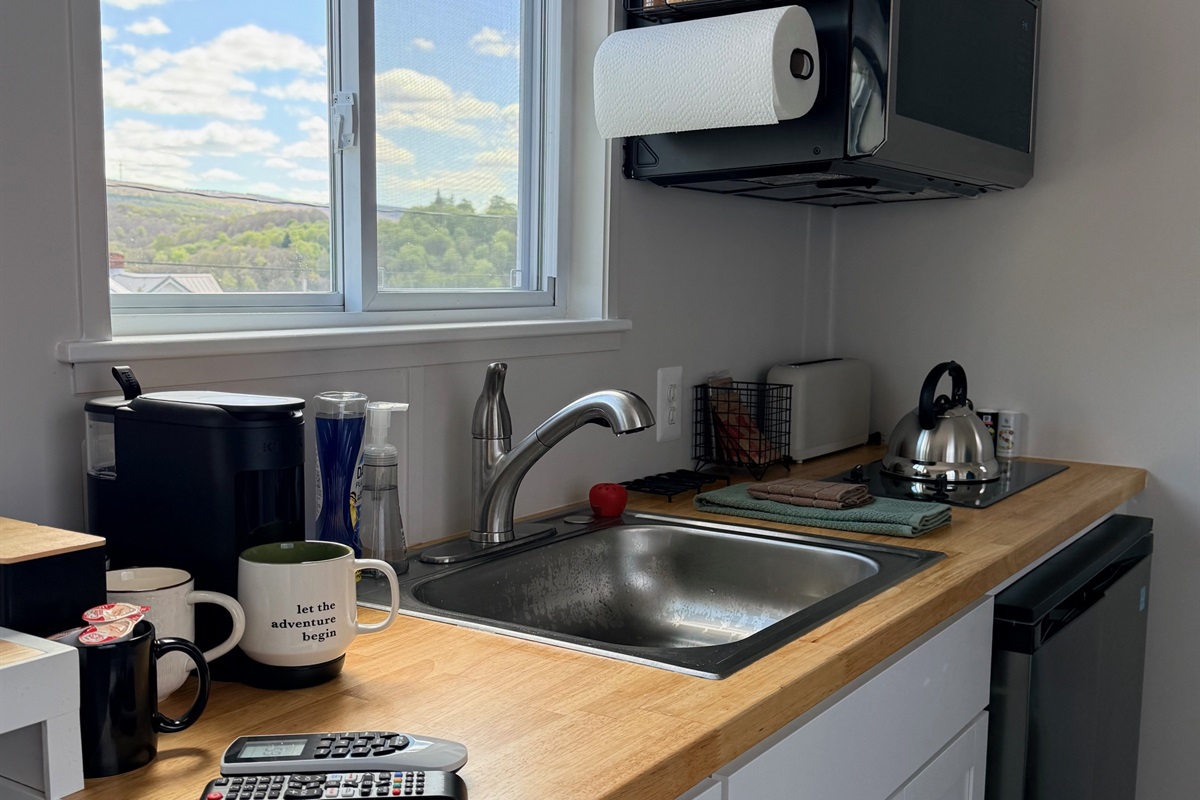 Kitchenette that includes microwave, electric cooktop, fridge, and freezer