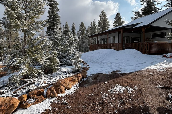 Snow-dusted trees and peaceful views all around the cabin. Winter truly is magical up here. ✨❄️