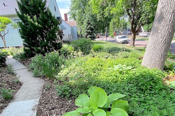 Front gardens