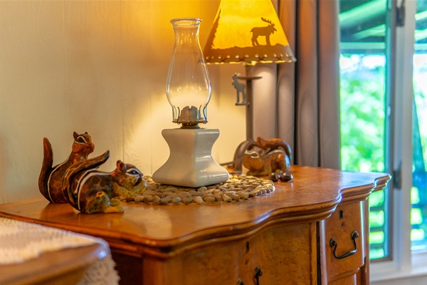 When you See Them Here in the Wild You Will Understand Why We Dedicated an Entire Room To Their Namesake! 