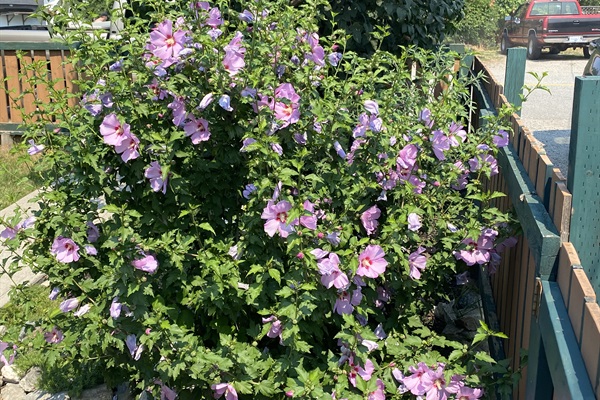 …October right in the yard.  